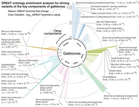 Fig S8 Great Enrichment Analysis For Gallstones Download Scientific