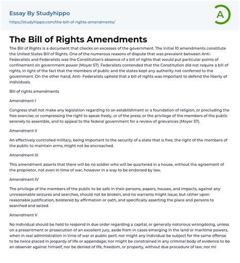 The Bill Of Rights Amendments Essay Example