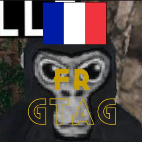 GORILLA TAG FRANCE CLASS Tier List Community Rankings TierMaker