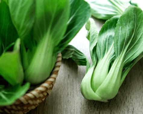pak choi