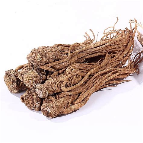 Buy Angelica Sinensis Angelica Root Radix Angelicae Dong Quai Dang Gui