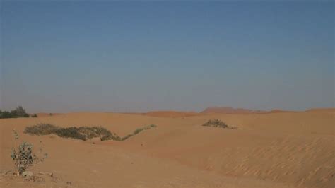 Sand Desert Mounds Stock Footage SBV-300170497 - Storyblocks