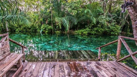 Veja O Que Torna Bonito Um Destino Incr Vel De Ecoturismo Servidor