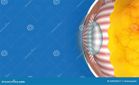 3D Medical Animated Normal Tension Glaucoma on Blue Background Stock Illustration - Illustration ...