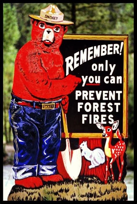 Smokey Bear Remember 8x12 Metal Sign Made In Usa Etsy Bear Signs Smokey The Bears Smokey