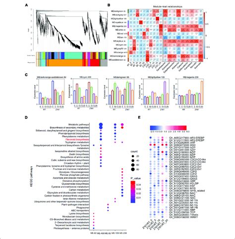 Weighted Gene Coexpression Network Analysis Wgcna For Degs A