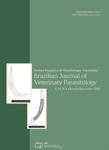 Revista Veja São Paulo Edições Anteriores Hot Sale emergencydentistry