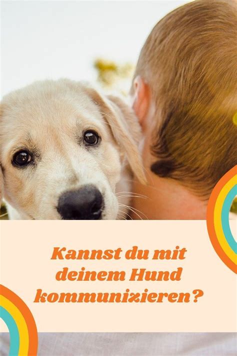 Kannst Du Mit Deinem Hund Kommunizieren