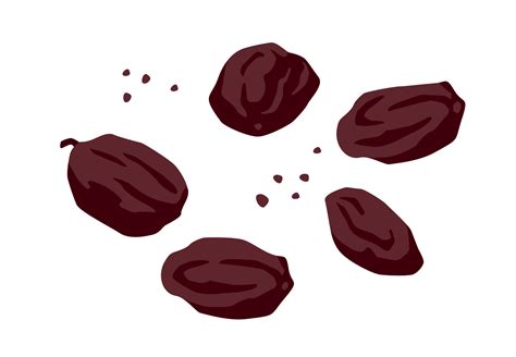 Set Of Drawn Raisin Vector Illustration Isolated Elements For Design