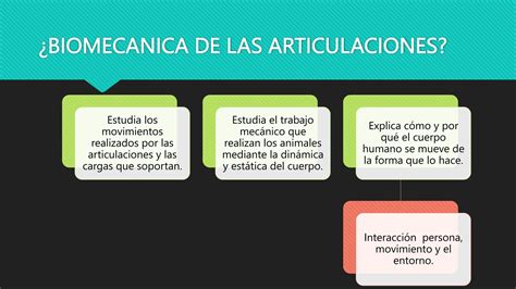 Biomecanica Y Anatomia De Articulaciones Final Pptx