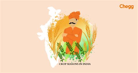 Essential And Thriving Crop Seasons In India Rabi Kharif Zaid