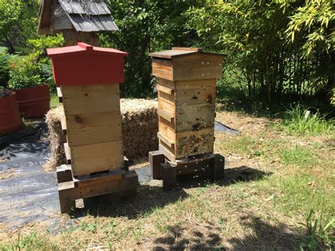 Warre Hive | Adventures in Natural Beekeeping