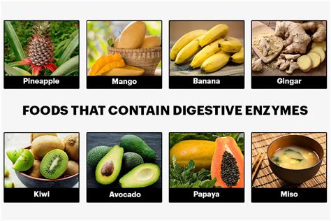 6 Benefits Of Digestive Enzymes Can Help You To Lose Weight Dmoose