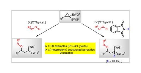 Lewis Acid Catalyzed Nucleophilic Ring Opening And 13