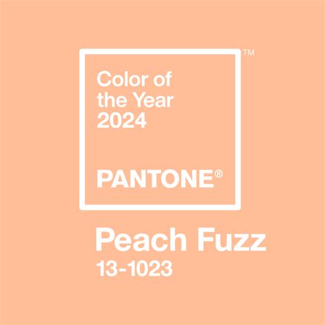 Pantone Colour Of The Year 2024 Peach Fuzz 13 1023 VeriVide