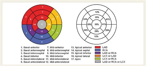 Incidence And Coronary Distribution Of Wall Motion Abnormalities At