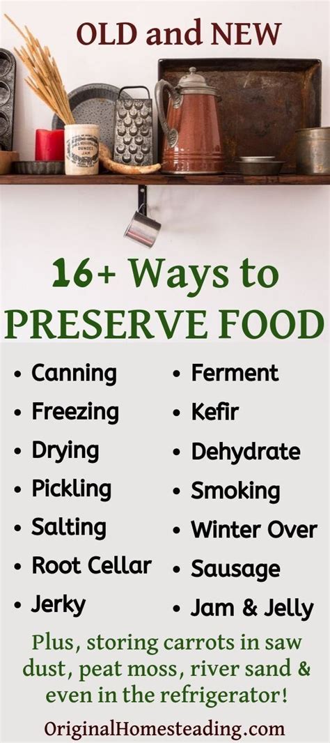 Ways To Preserve Food 16 Modern And Traditional