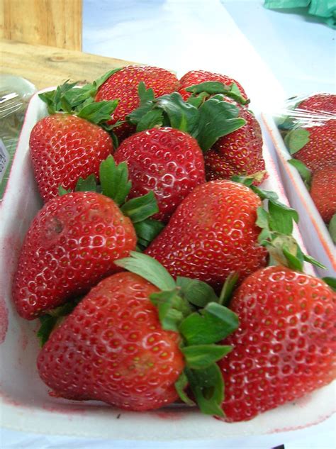 Frutas De La Costa Sierra Y Oriente Del Ecuador On Emaze