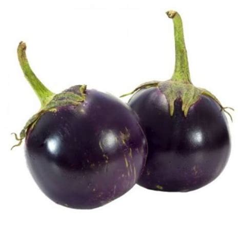 Brinjal Round Baingan Vegetable Seeds