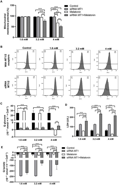 Molecules Free Full Text Melatonin Reverses The Warburg Type