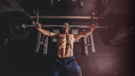 What Is Muscular Fitness The Benefits Of Strength Training