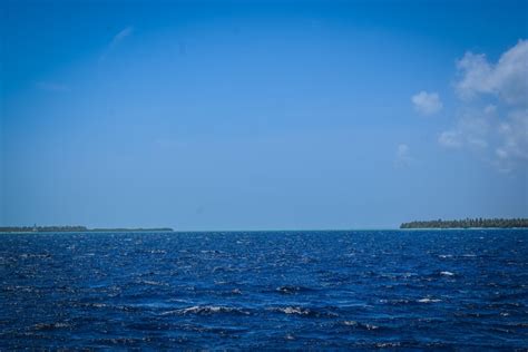 Da Punta Cana Gita Di Un Giorno Intero All Isola Di Saona Con Pranzo