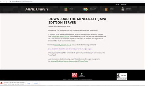 Minecraft Software Descubra a emoção das apostas a gatinha marie