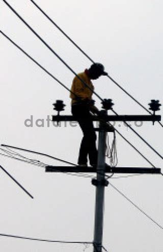 Petugas Pln Memperbaiki Jaringan Kabel Listrik Datatempo