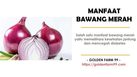 Tak Hanya Enak Berikut Manfaat Bawang Merah Yang Perlu Anda Ketahui