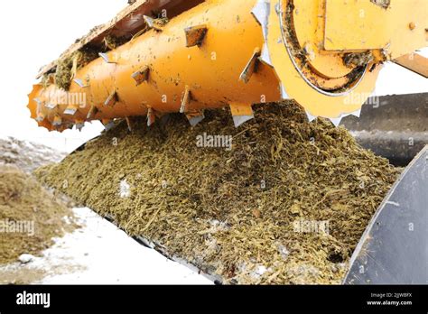 Bucket With Emily Mobile Cutter Selection Of Silage And Haylage From