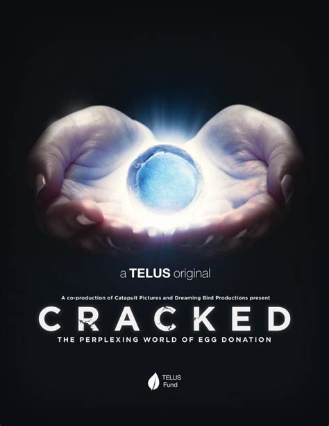 CRACKED & LABELED — NorthwestFest 