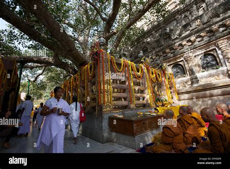 Mahabodhi Temple Home Of The Banyan Tree Under Which The Lord Budha