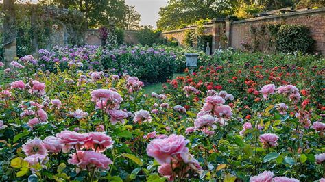 The Rose Garden Hever Castle Youtube