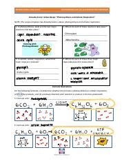 video recap comparing photosynthesis and cellular respiration by amoeba ...