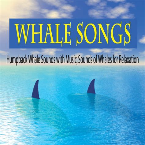 ‎whale Songs Humpback Whale Sounds With Music Sounds Of Whales For