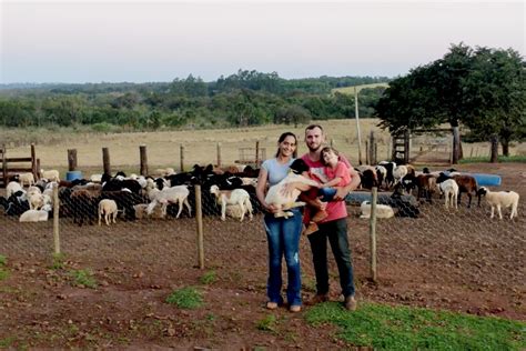 ATeG Do Senar Ovinocultor De Terenos Conquista Aumento De 2000 Na