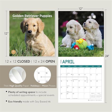 Bright Day Calendario Mensual De Pared 2024 De Golden Retriever