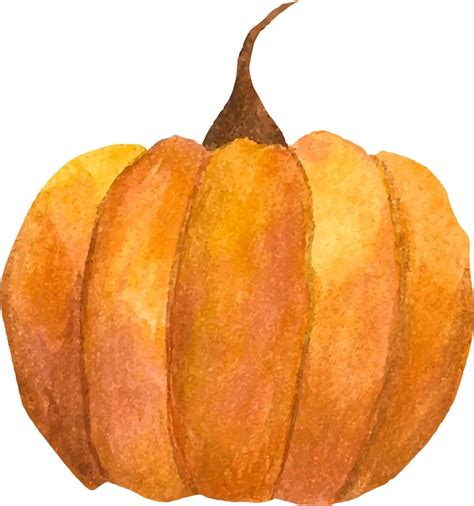 Acuarela De Calabaza Vector Premium