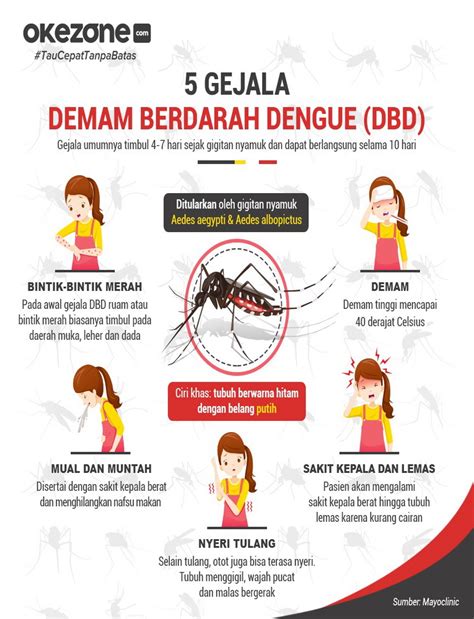 Okezone Infografis 5 Gejala Demam Berdarah