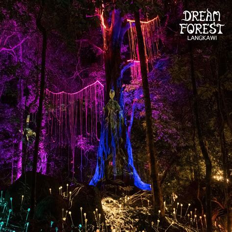 Dream Forest Langkawi Bajet2cuti