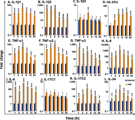 Time Dependent Induction Of The Expression Of Cytokines By Ryrf Rts