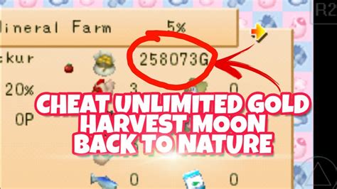 Full Cheat Harvest Moon Back To Nature Youtube