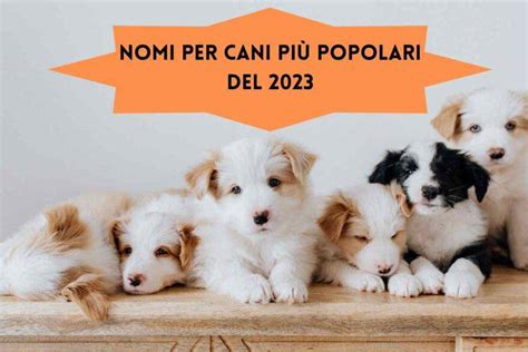 Nomi Per Cani Più Popolari La Classifica Dei Nomi Del 2023