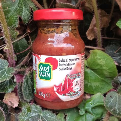 Suzi Wan Salsa Di Peperoncini Review Abillion