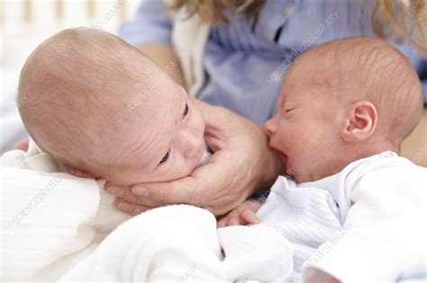 Mother And Two Week Old Twins Stock Image F Science Photo