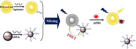 Schematic Illustration Of This Fret Based Assay For The Trace Detection Download Scientific