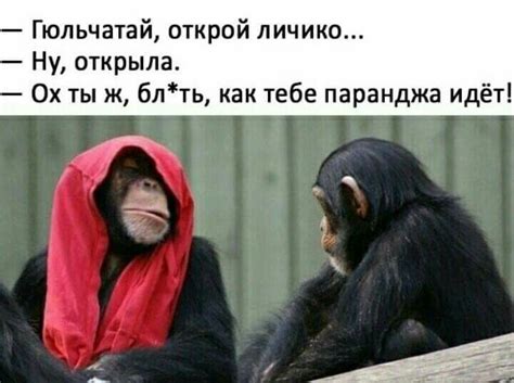 Пин на доске Юмор | Веселые высказывания, Смешно, Вдохновляющие цитаты