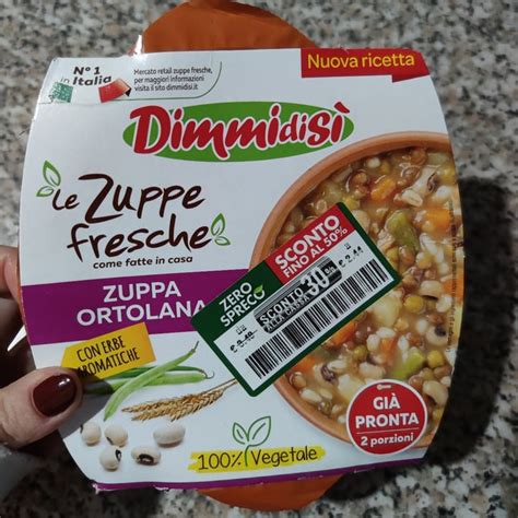 Dimmidisi Zuppa Ortolana Review Abillion