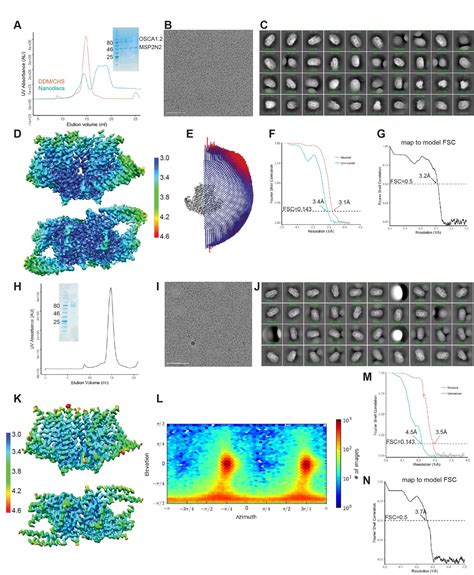 Figures And Data In Cryo EM Structure Of The Mechanically Activated Ion