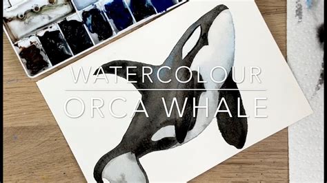 Watercolour Orca Whale - YouTube